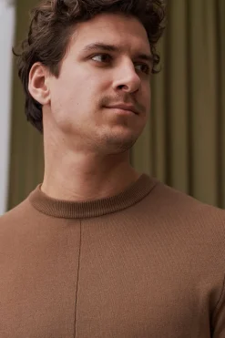 Pull en coton bio | camel 