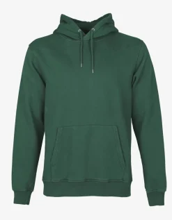 Sweat à capuche en coton bio | vert 