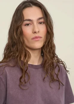 T-shirt en coton bio | violet "organic boxy crop tee - faded grape"